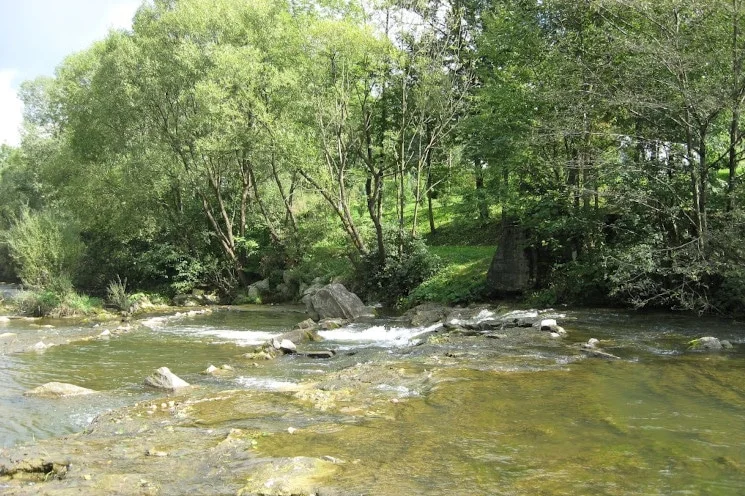Besko